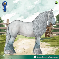 Horse Color:Watercolor Silver Grullo Roan 