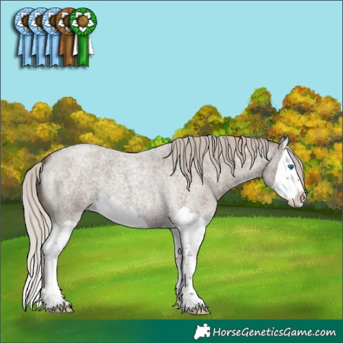 Horse Color:Silver Grullo Roan Splash 
