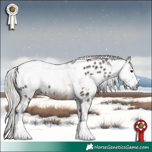 Horse Color:White Spotted Silver Black Tobiano Appaloosa  and Gray Silver Brown Sabino Tobiano Appaloosa 