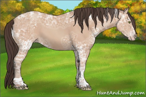 Horse Color:White Spotted Amber Champagne Ice Tobiano 
