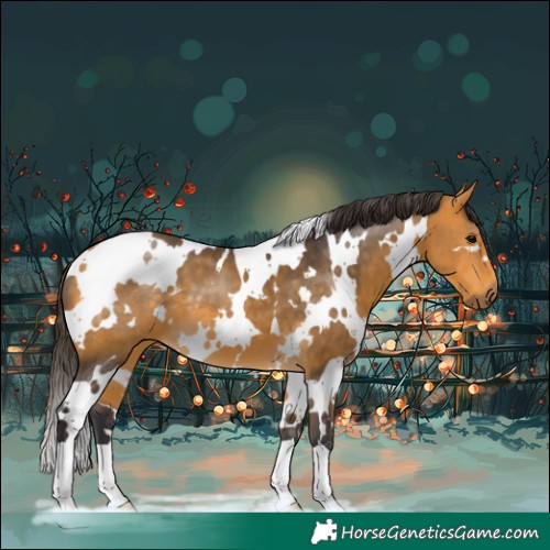 Horse Color:White Spotted Buckskin 