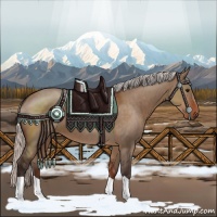 Horse Color:Silver Brown Dun