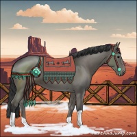 Horse Color:Grullo 