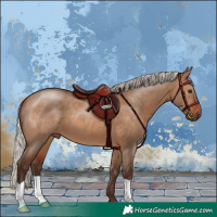 Horse Color:Silver Brown Dun 
