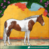 Horse Color:Silver Brown Tobiano