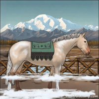Horse Color:Silver Brown Dun