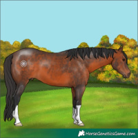 Horse Color:Brown 