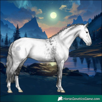 Horse Color:Gray Black Sabino Appaloosa 