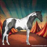 Horse Color:Black Tobiano Rabicano