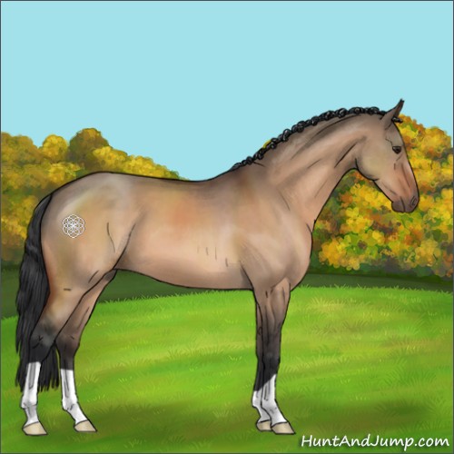 Horse Color:Brown Dun