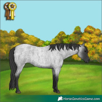 Horse Color:Blue Roan 