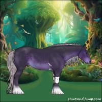 Horse Color:Silver Smoky Black Tobiano
