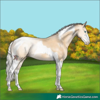 Horse Color:Silver Smoky Black Pearl Sabino Tobiano
