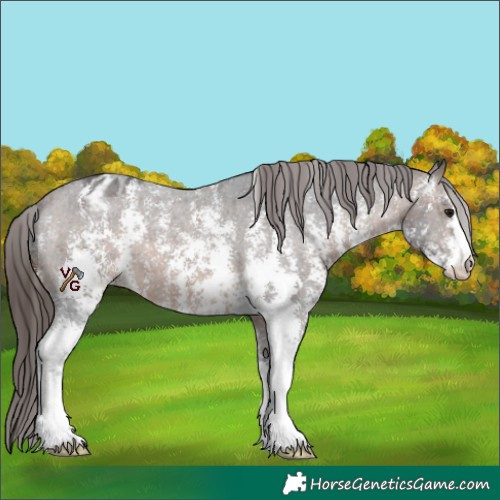 Horse Color:Brown Sabino Varnish 