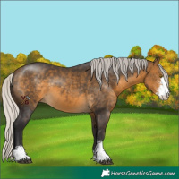 Horse Color:Silver Buckskin Sabino 