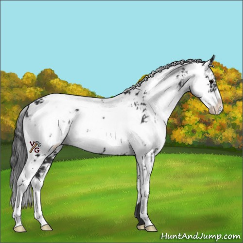 Horse Color:Black Sabino