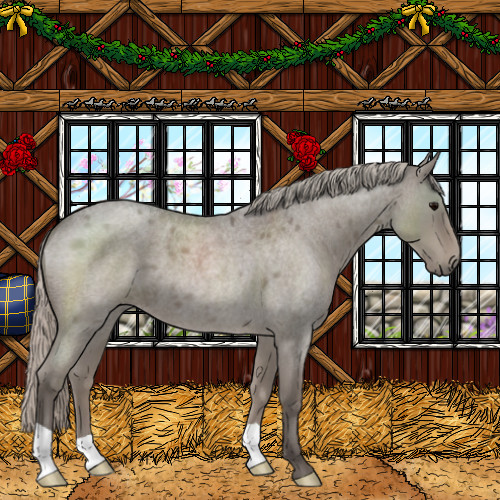 Horse Color:Silver Grullo Roan