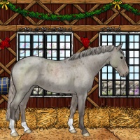 Horse Color:Silver Grullo Roan 