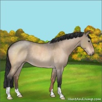 Horse Color:Brown Roan Dun 