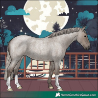 Horse Color:Silver Grullo Roan 