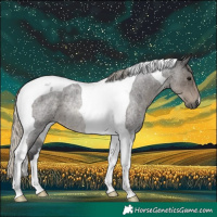 Horse Color:Silver Smoky Blue Roan Tobiano Rabicano