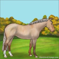 Horse Color:Silver Brown Roan Dun 