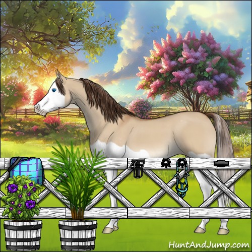 Horse Color:Bay Dun Splash Appaloosa 
