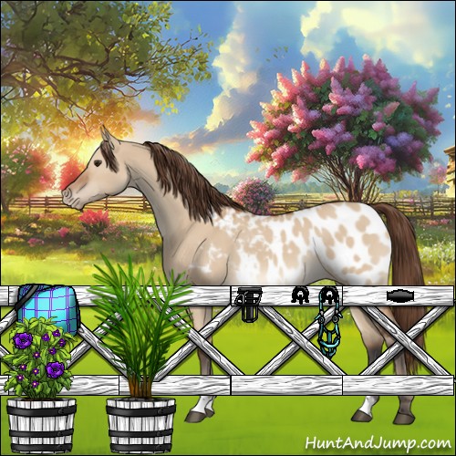 Horse Color:Bay Dun Near Leopard 