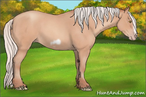 Horse Color:Silver Amber Champagne Roan Frame 