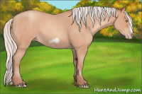 Horse Color:Silver Amber Champagne Roan Frame 