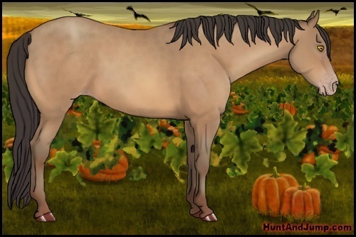 Horse Color:Amber Champagne 