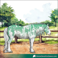 Horse Color:Watercolor White Spotted Silver Black Chinchilla Splash