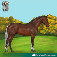Horse Color:Silver Brown Tobiano 