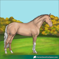 Horse Color:Silver Amber Champagne Tobiano Rabicano 
