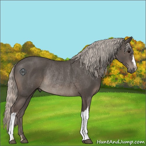 Horse Color:Silver Black Rabicano 