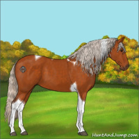 Horse Color:Silver Buckskin Tobiano 