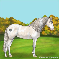 Horse Color:White Spotted Perlino Sabino Blanket 