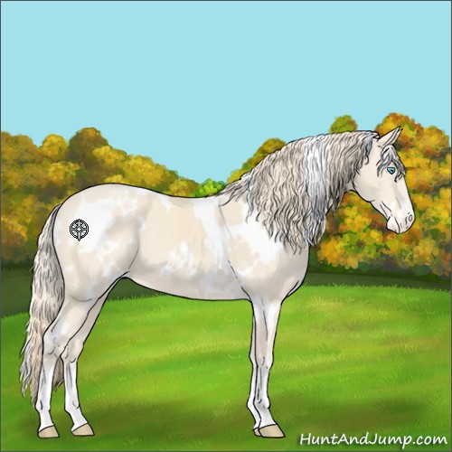 Horse Color:White Spotted Perlino Varnish