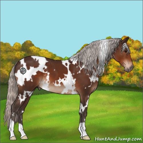 Horse Color:White Spotted Silver Brown 