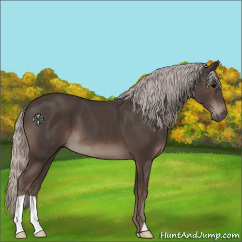 Horse Color:Silver Black 