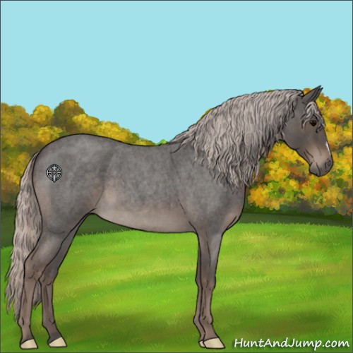 Horse Color:Silver Blue Roan 