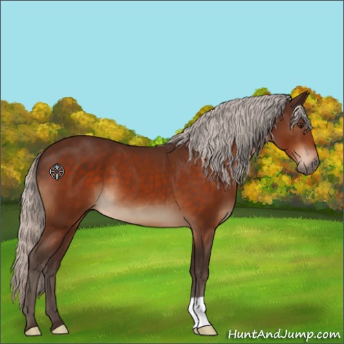 Horse Color:Silver Brown 