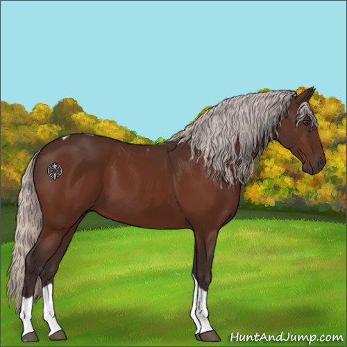 Horse Color:Silver Brown Tobiano