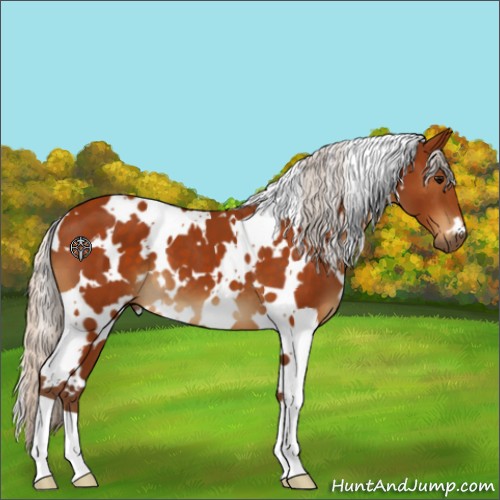 Horse Color:White Spotted Silver Buckskin 
