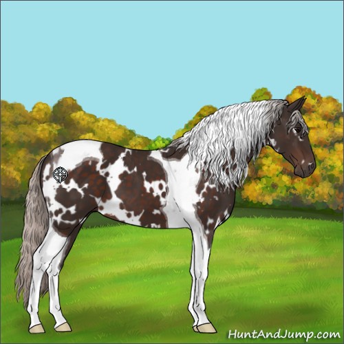 Horse Color:White Spotted Silver Brown Tobiano 