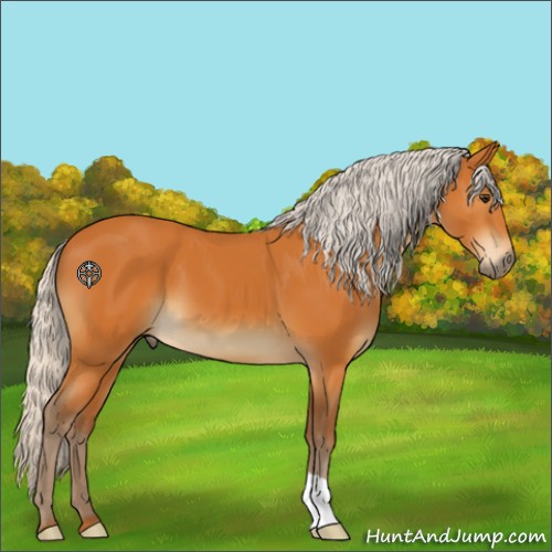 Horse Color:Silver Buckskin 