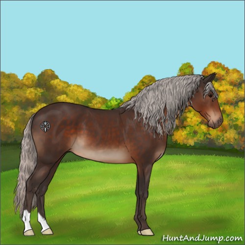 Horse Color:Silver Brown 