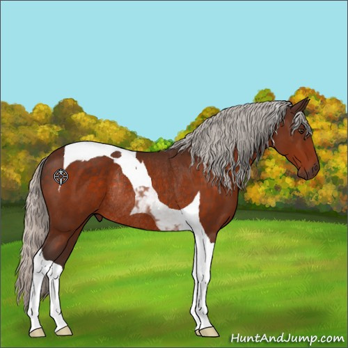 Horse Color:Silver Brown Tobiano Rabicano 