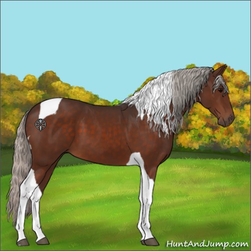 Horse Color:Silver Brown Tobiano 