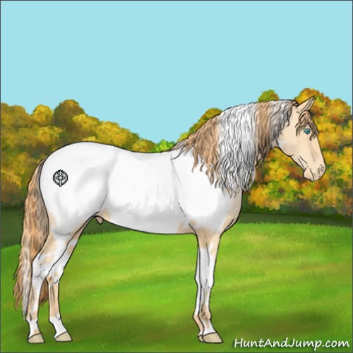 Horse Color:White Spotted Buckskin Pearl Snowcap 